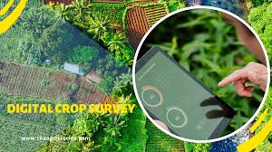 डिजीटल क्रॉप सर्वे मोबाईल ॲपद्वारे शेतकऱ्यांनी पिक नोंदणी करण्याचे आवाहन
