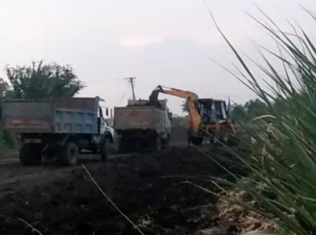 सात वर्षांच्या वर्धिशने सर केला गिरनार पर्वत