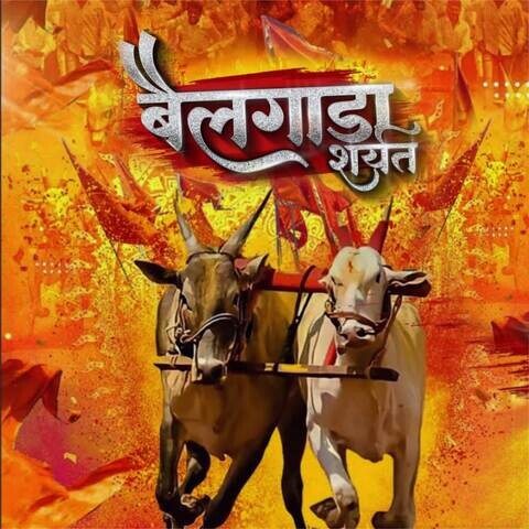 शिवजयंती निमित्त तरडफ (फलटण ) येथे बैलगाडा शर्यतीचे आयोजन 