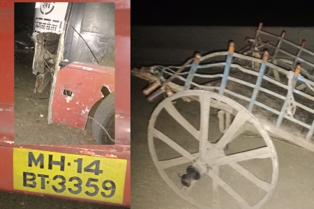 एसटीच्या धडकेने एकासह बैलाचा मृत्यू 