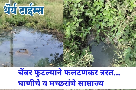 अल्पवयीन मुलीवर लैंगिक अत्याचार