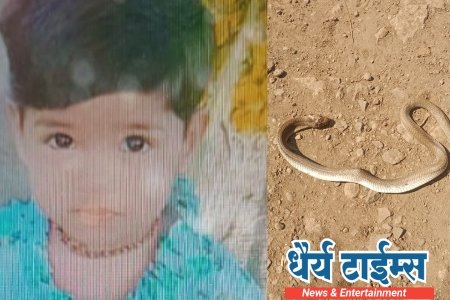 दोन वर्षाच्या चिमुकलीचा सर्प दंशाने मृत्यू 