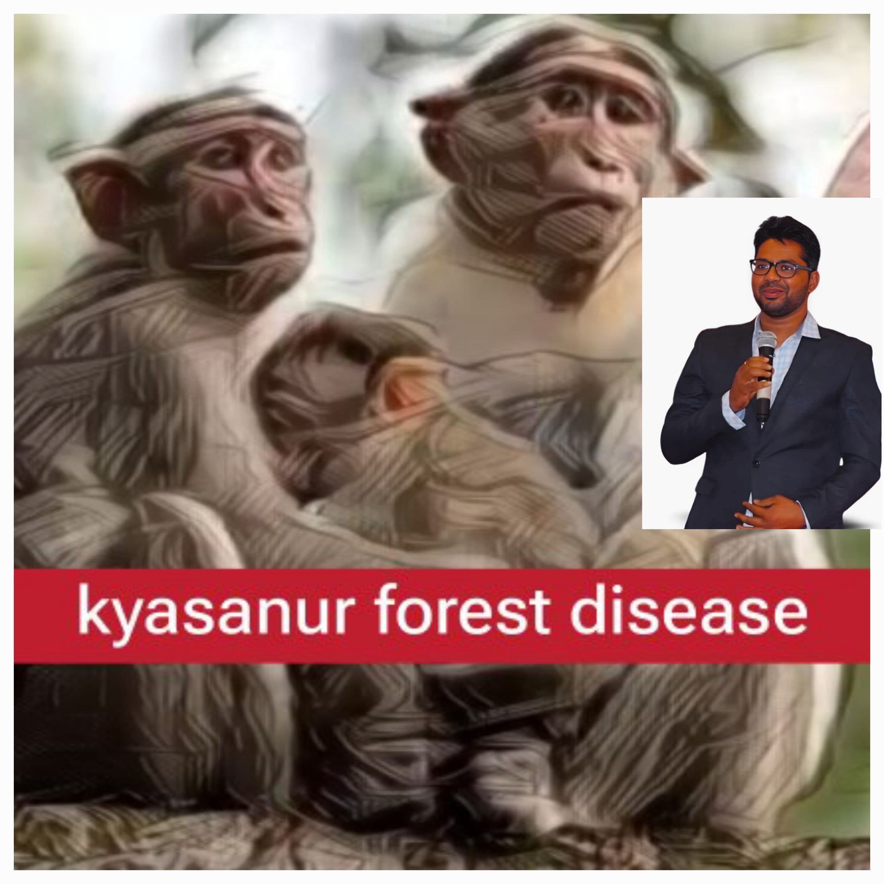 पावसाळ्यात कोकणात जाताय ; जरा जपून : जाणून घ्या  KFD अर्थात माकड तापाविषयी