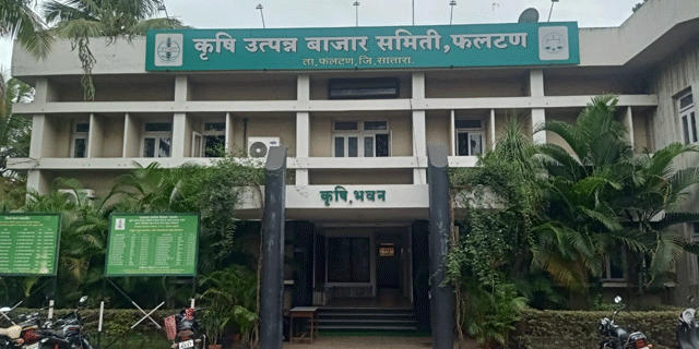 फलटण बाजार समितीत हरभरा-तूर हमीभाव खरेदी सुरू